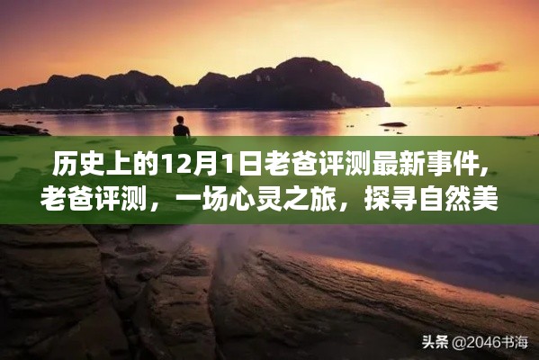 探尋自然美景的平靜力量，老爸評測心靈之旅最新事件回顧