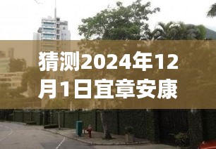 揭秘宜章安康小區，特色小店探秘與最新發展動態（2024年12月）