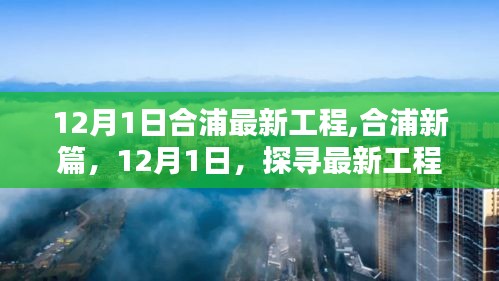 合浦新篇章，探尋最新工程之崛起（12月1日最新更新）