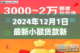 初學者與進階用戶必備，2024年小額貸款新口子詳解及申請流程指南