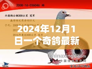 奇鴿最新版，2024年科技飛躍與深遠(yuǎn)影響的里程碑