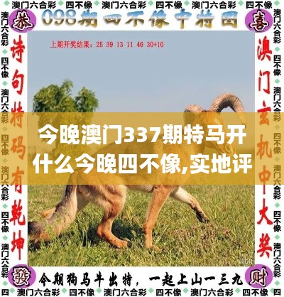 今晚澳門337期特馬開什么今晚四不像,實地評估策略_精英款96.920-1