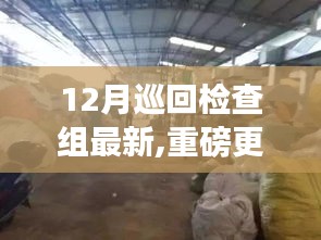 揭秘十二月巡回檢查組最新動態與深度洞察，重磅更新揭秘背后細節