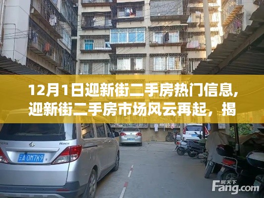 揭秘迎新街二手房市場風云再起，十二月一日熱門信息深度解析