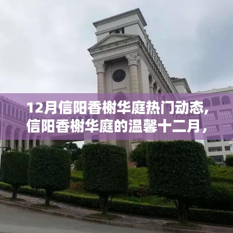 信陽香榭華庭十二月溫馨動態(tài)，友情與家的幸福匯聚