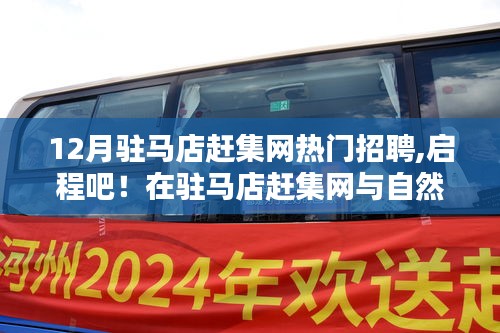 駐馬店趕集網12月熱門招聘，與自然美景的不期而遇，啟程尋找理想職業