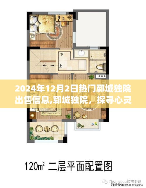 探尋心靈靜謐之旅，鄆城獨院熱門出售信息——2024年12月最新房源