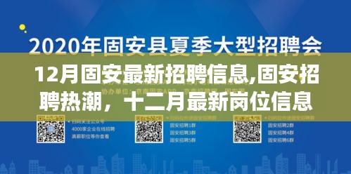 固安最新招聘熱潮，十二月崗位信息解析與洞察