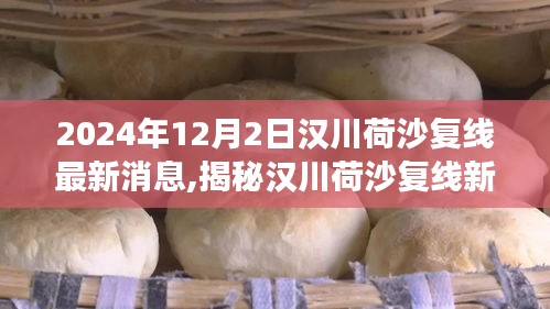 揭秘漢川荷沙復線新動態，美食寶藏藏于小巷特色小店中的新發現（最新消息）