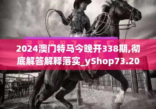 2024澳門特馬今晚開338期,徹底解答解釋落實_yShop73.206-3