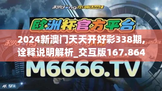 2024新澳門天天開好彩338期,詮釋說明解析_交互版167.864-7