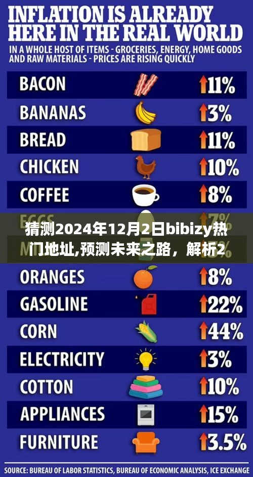 揭秘未來之路，解析Bibizy熱門地址走向預(yù)測，探尋2024年12月2日趨勢展望