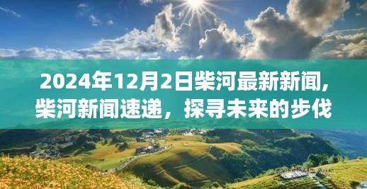 柴河新聞速遞，未來步伐與變革的探索——2024年12月最新報道