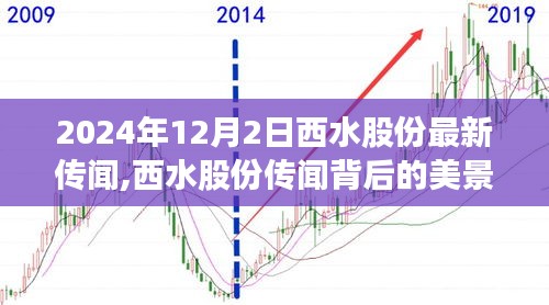 西水股份傳聞背后的神秘秘境，尋找內心平靜的奇妙之旅揭秘