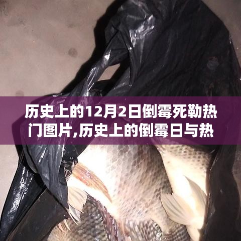 歷史上的倒霉日與倒霉死勒熱門圖片，深度解析一款獨特產品的特性與體驗