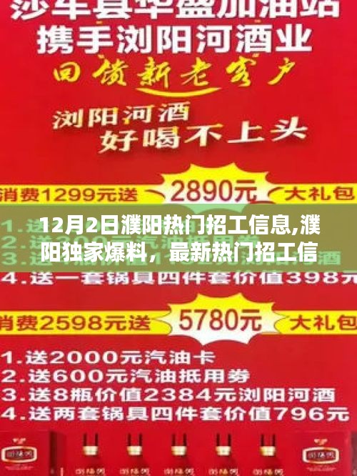 12月2日濮陽熱門招工信息速遞，獨家爆料與最新職位大盤點