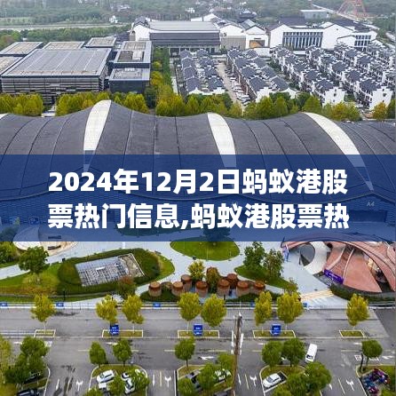 2024年12月2日螞蟻港股票熱門信息解析