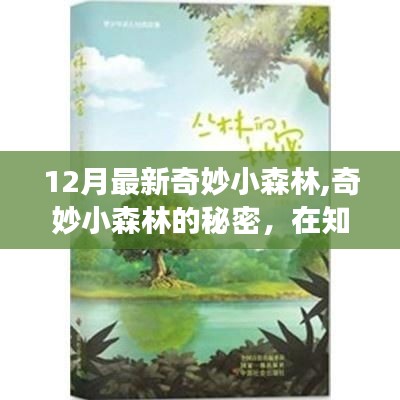 十二月新探奇妙小森林，知識(shí)森林中的自信與成長(zhǎng)果實(shí)