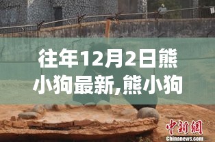 歷年十二月二日觀察解讀，熊小狗現象的最新動態