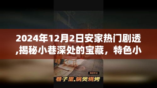 獨(dú)家揭秘，小巷寶藏特色小店——安家熱門(mén)劇透 2024年12月2日