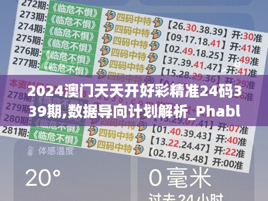 2024澳門天天開好彩精準(zhǔn)24碼339期,數(shù)據(jù)導(dǎo)向計(jì)劃解析_Phablet115.802-5