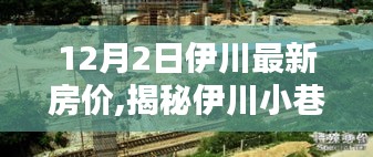 揭秘伊川小巷風情與最新房價，隱藏式特色小店探秘