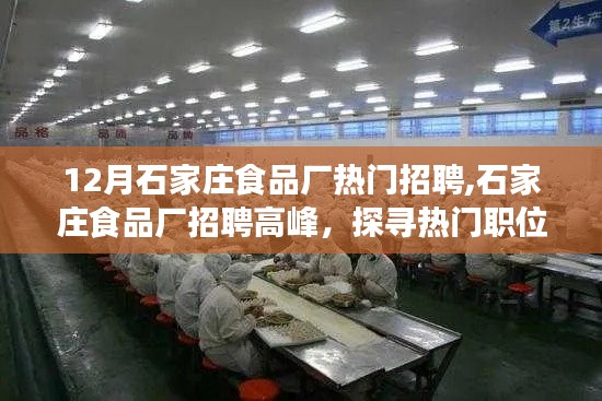 12月石家莊食品廠招聘熱潮，熱門職位與職業前景探索