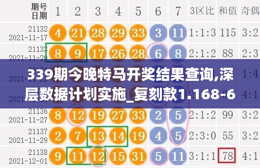 339期今晚特馬開獎結果查詢,深層數據計劃實施_復刻款1.168-6