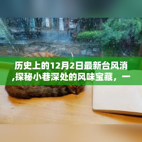 探秘歷史臺風背后的獨特小巷美食寶藏，一家隱藏在小巷深處的風味小店