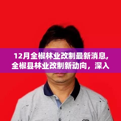 全椒縣林業改制最新動態，深度解析與觀點闡述