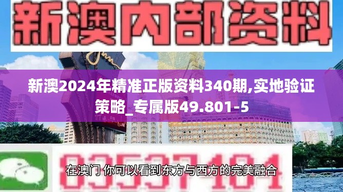 新澳2024年精準正版資料340期,實地驗證策略_專屬版49.801-5