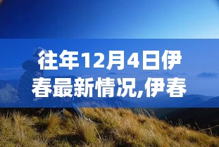 伊春探秘之旅，與自然共舞的心靈寧靜之地最新動態（12月4日）