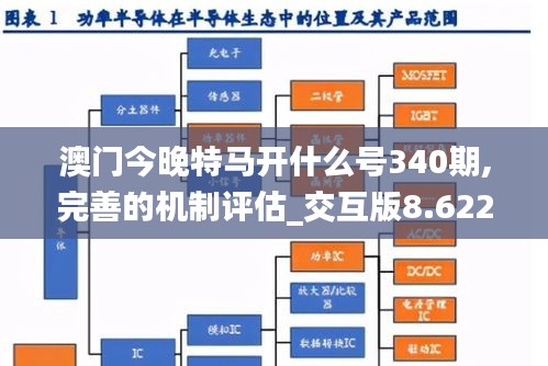 澳門今晚特馬開什么號340期,完善的機(jī)制評估_交互版8.622-9