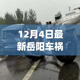 深度解析，岳陽車禍事故原因及各方觀點