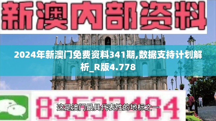 2024年新澳門免費資料341期,數據支持計劃解析_R版4.778