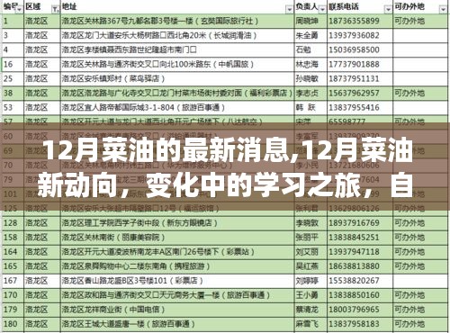 12月菜油市場最新動態，變化中的學習之旅，自信與成就感的源泉