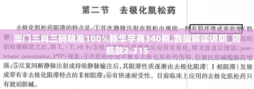 澳門三肖三碼精準100%新華字典340期,數據解讀說明_領航款2.215