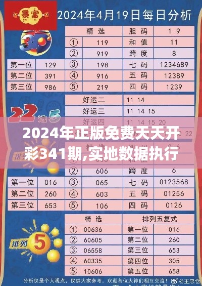 2024年正版免費天天開彩341期,實地數據執行分析_潮流版2.911