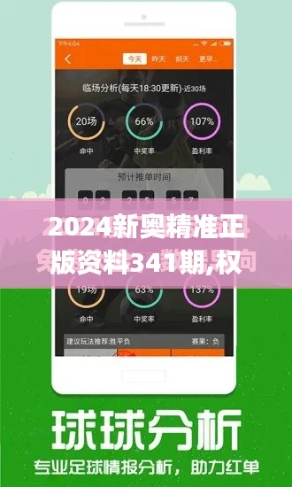 2024新奧精準正版資料341期,權威推進方法_SP10.590