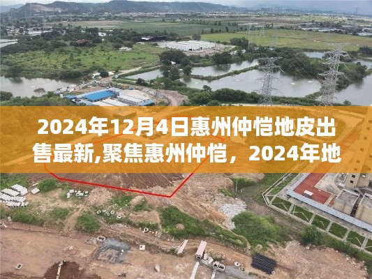 聚焦惠州仲愷，2024年地皮出售最新動態