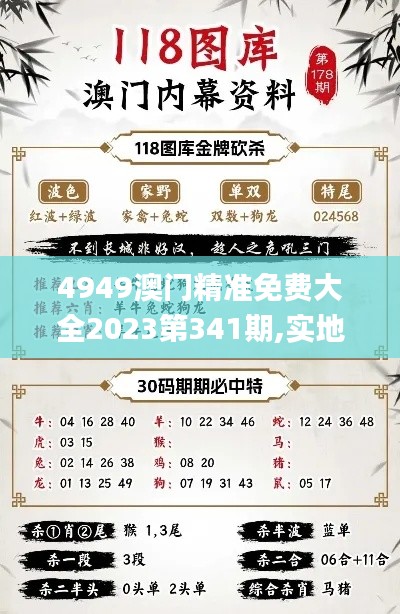 4949澳門(mén)精準(zhǔn)免費(fèi)大全2023第341期,實(shí)地執(zhí)行考察方案_安卓款8.997