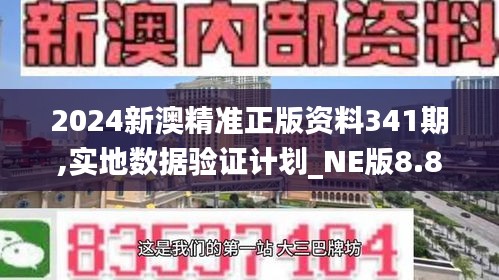 2024新澳精準正版資料341期,實地數據驗證計劃_NE版8.815