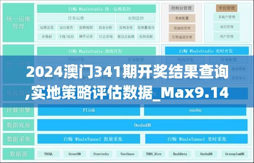 2024澳門341期開獎結果查詢,實地策略評估數據_Max9.141