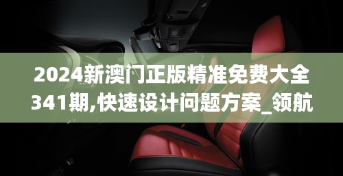 2024新澳門正版精準免費大全341期,快速設計問題方案_領航款4.656