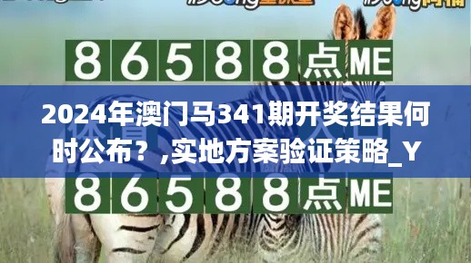 2024年澳門馬341期開獎(jiǎng)結(jié)果何時(shí)公布？,實(shí)地方案驗(yàn)證策略_YE版3.263