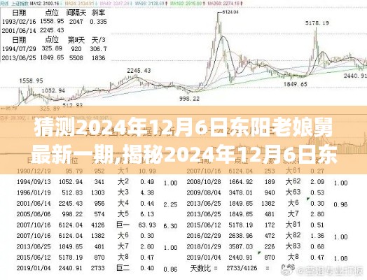 揭秘與預測，東陽老娘舅節目走向深度分析——最新一期展望與預測（2024年12月6日）