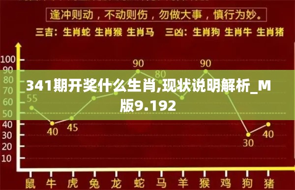 341期開獎什么生肖,現狀說明解析_M版9.192