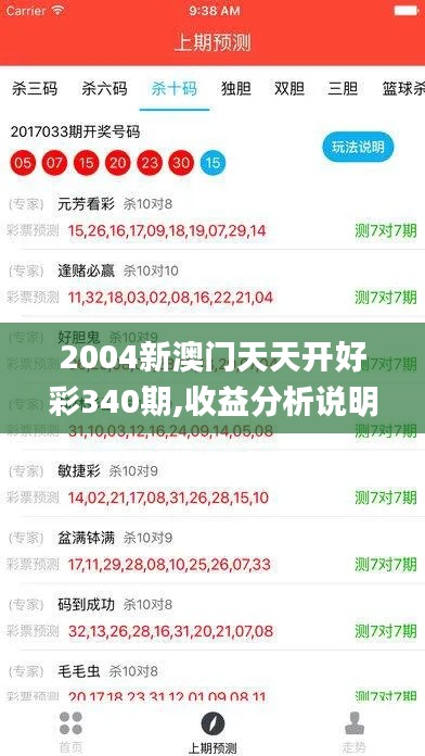 2004新澳門天天開好彩340期,收益分析說明_Holo4.382