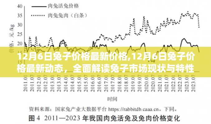 12月6日兔子價格最新動態及市場全面解讀