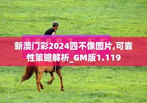 新澳門彩2024四不像圖片,可靠性策略解析_GM版1.119